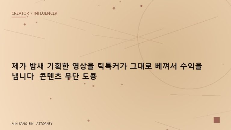 “제가 밤새 기획한 영상을 틱톡커가 그대로 베껴서 수익을 냅니다” 콘텐츠 무단 도용